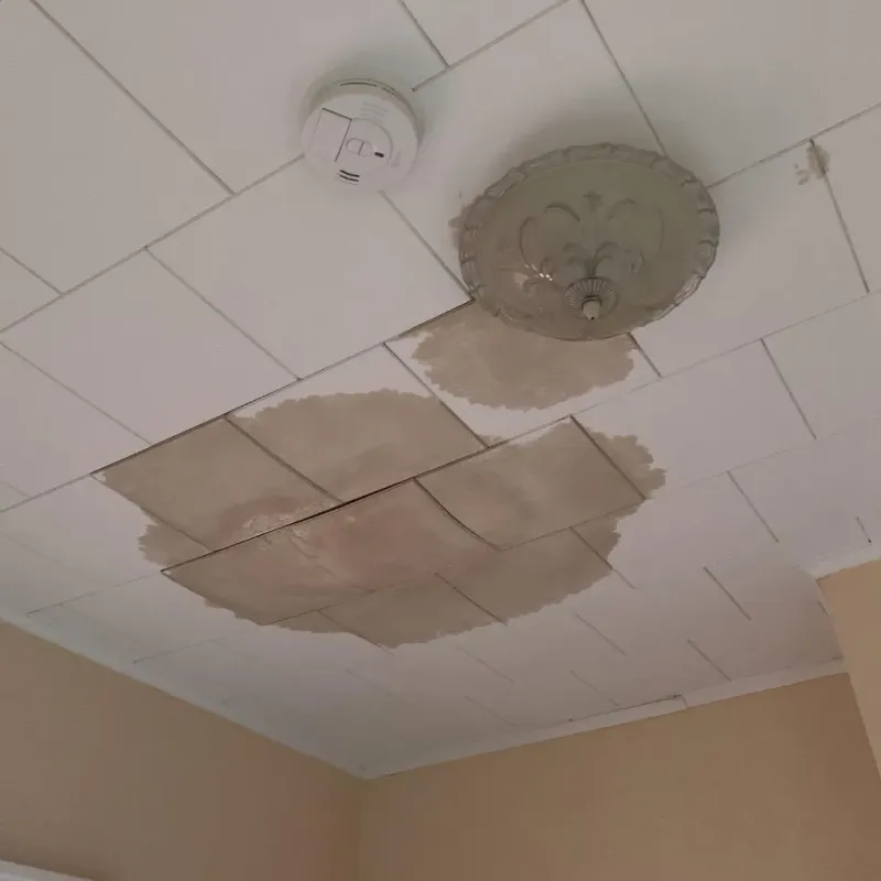 Ceiling Water Damage Repair in Red Bank, TN