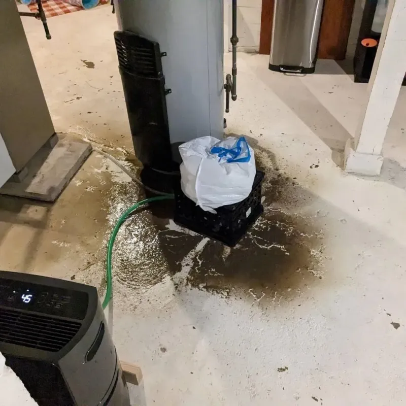 Sewage Backup Cleanup Service in Red Bank, TN